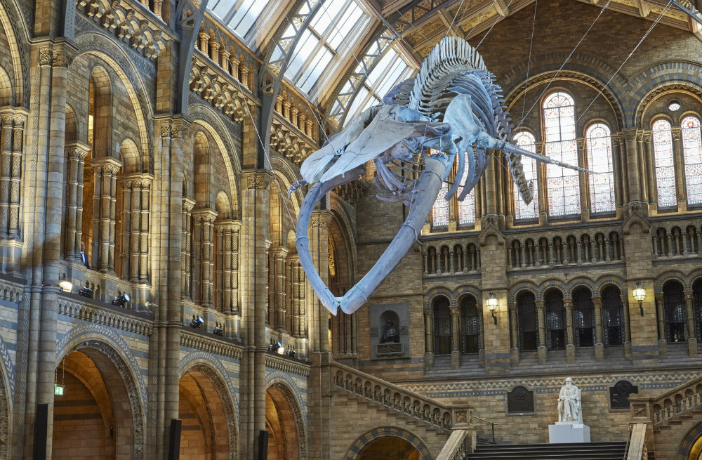 The Best Museums In London You Need To Visit 03