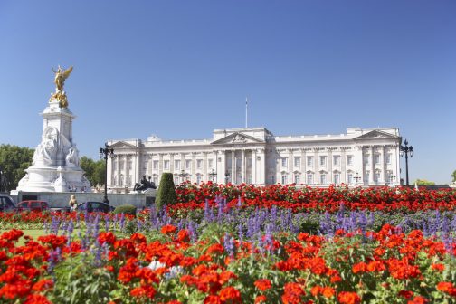 5 Things You Didn't Know You Can Find Inside the Buckingham Palace