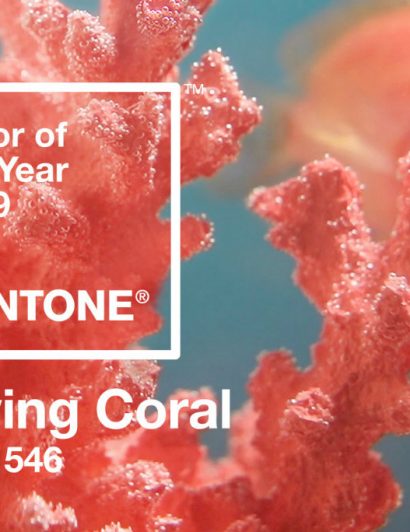 Pantone Has Released Their Color of The Year For 2019 01