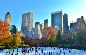 Top 5 Things To Do In NYC During Christmas