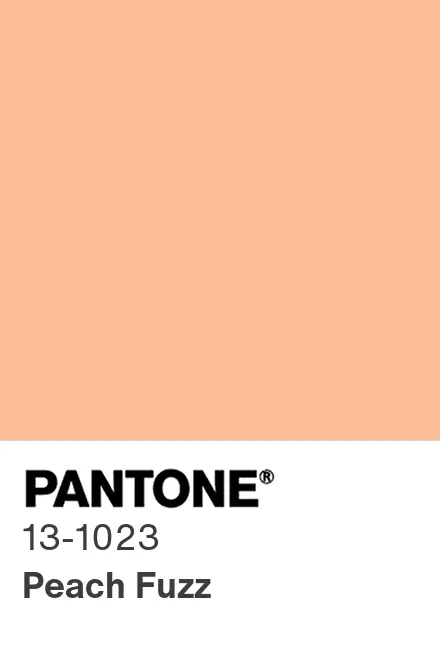 Pantone 13-1023 Peach Fuzz marks Pantone's 25th Color of the Year