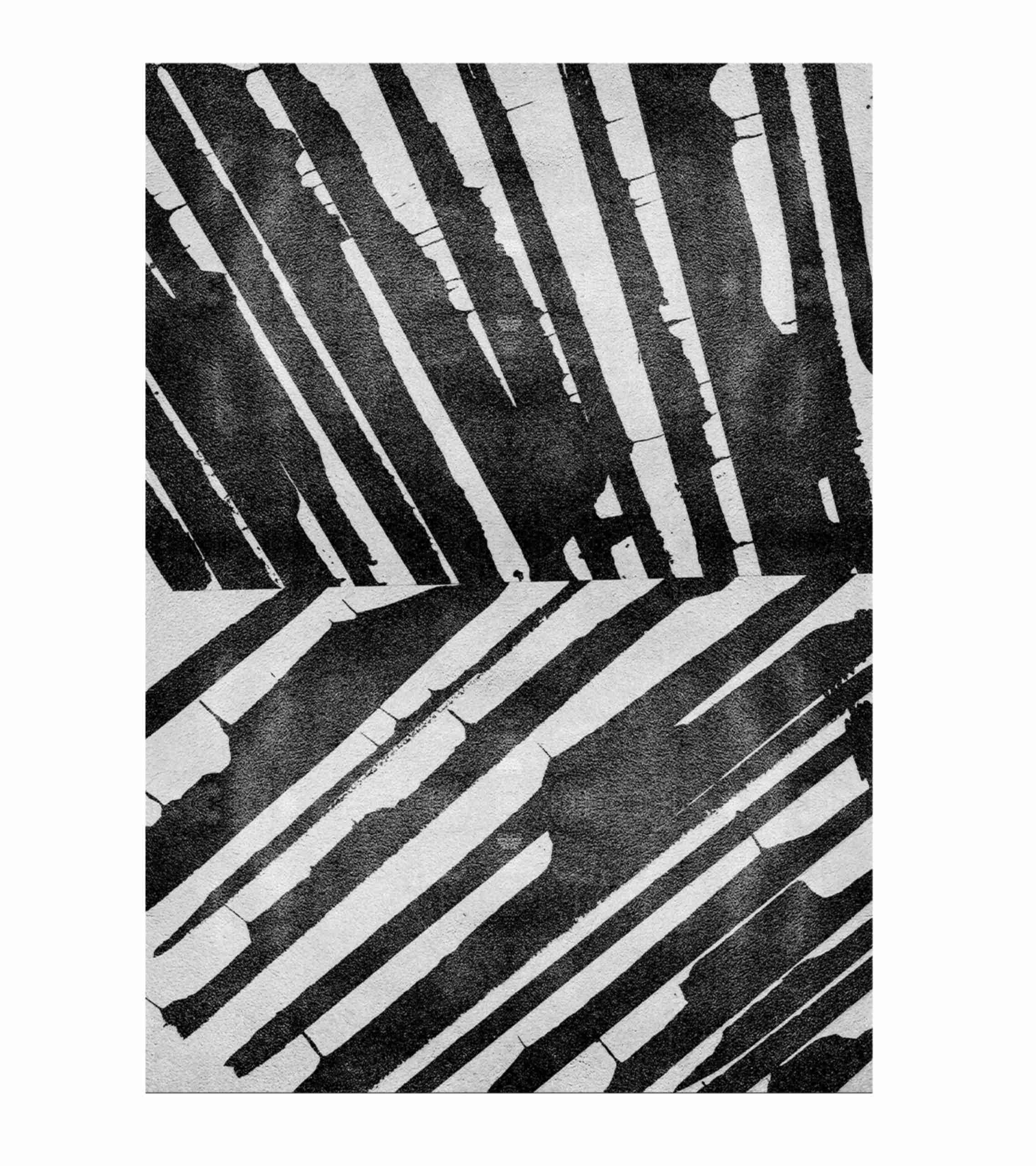 Palm Rugs