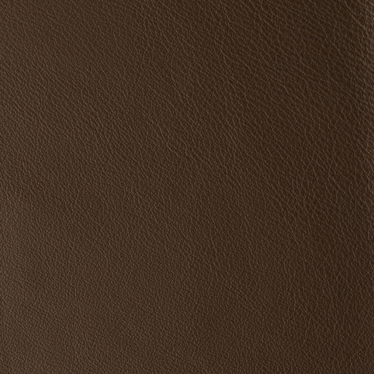 Laguna CARIBOU 08646