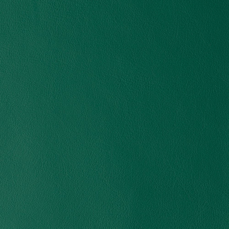 Laguna GREEN RAY 08658