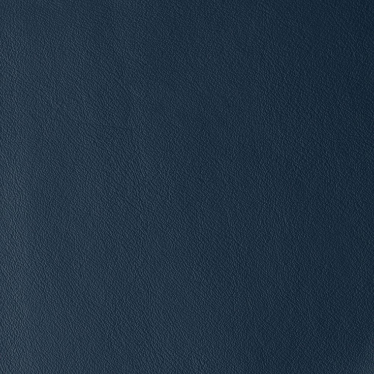 Laguna MIDNIGHT 08624