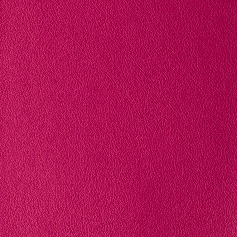 Laguna PASSION 08700