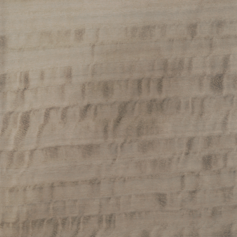 Eucalipto Frise Beige